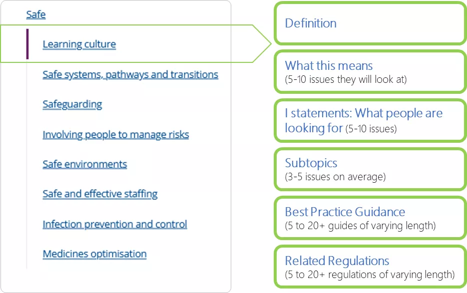 SAF Quality statements structure